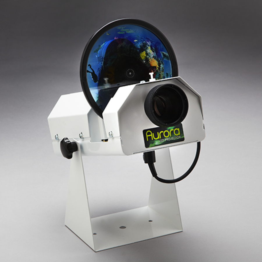 Sensory Bathroom Bundle Ultimate Sensory Bathroom Setup