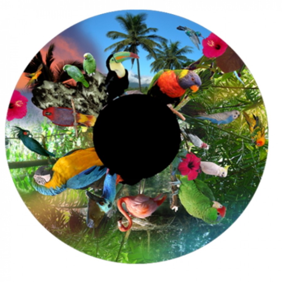 Birds of Paradise Effects Wheel