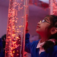 Calming LED Bubble Tube