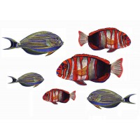Underwater Adventure Room Bundle