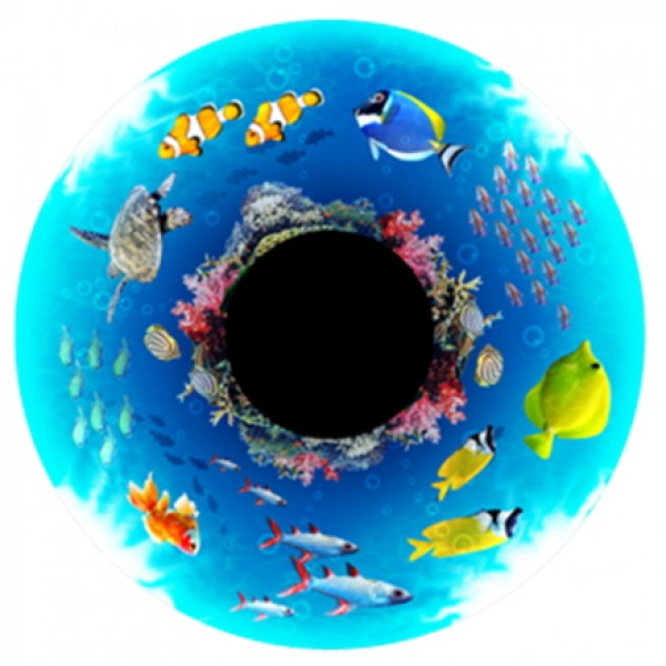 Tropical Reef Effects Wheel