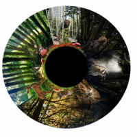 Walk in the Woods Effects Wheel