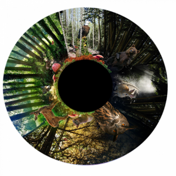 Walk in the Woods Effects Wheel